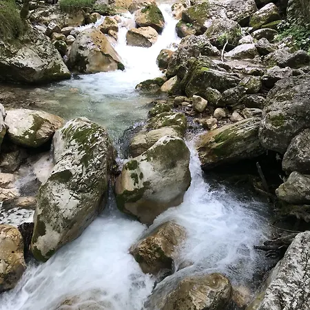 La Irmania 3*